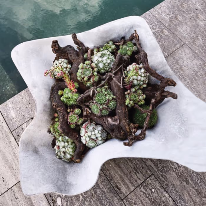 Naturgraues Swisspearl Biasca Pflanzgefäß mit Kaktusarrangement vor einem Teich.