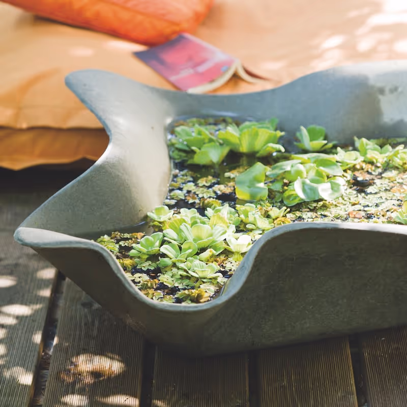 Naturgraues Swisspearl Biasca Pflanzgefäß mit kleinen Pflanzen vor orangefarbenem Kissen.