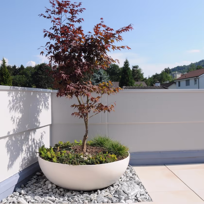Weißes Swisspearl Bonsai Pflanzgefäß mit Baum in der Ecke auf der Terrasse.