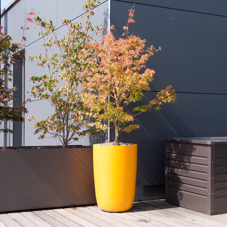 Gelbes Swisspearl Geisha Pflanzgefäß mit Baum vor einem Gebäude.
