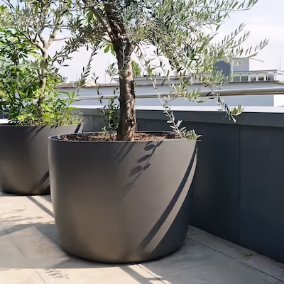 Großes anthrazitfarbenes Swisspearl Kyoto Pflanzgefäß mit Baum auf der Terrasse.