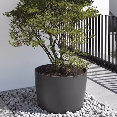 Anthrazitfarbenes Swisspearl Kyoto Pflanzgefäß mit Baum auf dem Balkon.