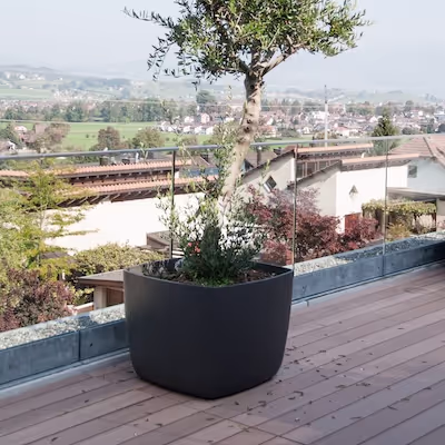 Anthrazitfarbenes quadratisches Swisspearl Osaka Pflanzgefäß mit Baum auf dem Balkon.