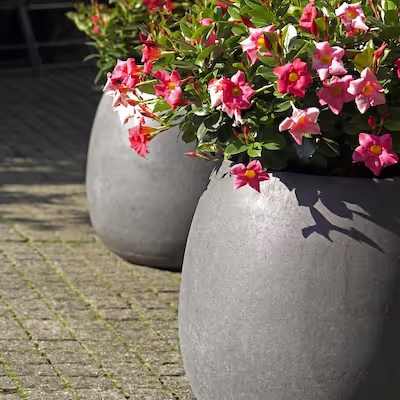 Zwei Swisspearl Sumo Pflanzgefäße mit Blumen auf einer gepflasterten Terrasse.